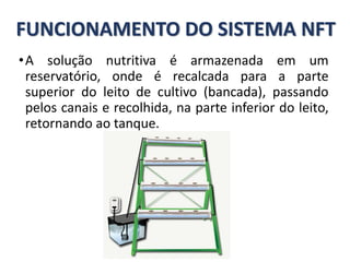 FUNCIONAMENTO DO SISTEMA NFT
•A solução nutritiva é armazenada em um
reservatório, onde é recalcada para a parte
superior do leito de cultivo (bancada), passando
pelos canais e recolhida, na parte inferior do leito,
retornando ao tanque.
 