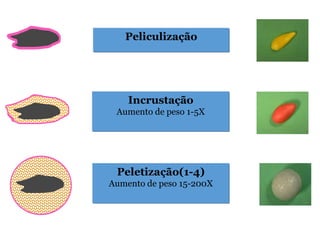 Peliculização
Incrustação
Aumento de peso 1-5X
Peletização(1-4)
Aumento de peso 15-200X
 