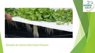 Ejemplo de sistema Raiz/balsa Flotante
 