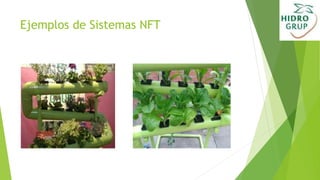 Ejemplos de Sistemas NFT
 