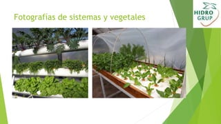 Fotografías de sistemas y vegetales
 
