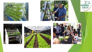 Hidroponia 1.pptx