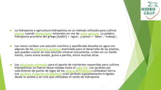  La hidroponía o agricultura hidropónica es un método utilizado para cultivar
plantas usando disoluciones minerales en vez de suelo agrícola. La palabra
hidroponía proviene del griego [hýdōr] = ‘agua’, y ponos = ‘labor’, ‘trabajo’.
 Las raíces reciben una solución nutritiva y equilibrada disuelta en agua con
algunos de los elementos químicos esenciales para el desarrollo de las plantas,
que pueden crecer en una solución mineral únicamente, o bien en un medio
inerte, como arena lavada, grava o perlita, entre muchas otras.
 Las soluciones minerales para el aporte de nutrientes requeridas para cultivos
hidropónicos no fueron desarrolladas hasta el siglo XIX. Los jardines por
cubrimiento de partes de lagos de los aztecas (chinampas) utilizaban tierra.
Los Jardines Colgantes de Babilonia eran jardines supuestamente irrigados
desde la azotea y se cree que utilizaban el estilo de hidroponía
 