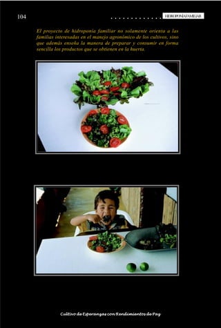 104                                                                                         ○
                                                                                            ○       ○
                                                                                                    ○       ○
                                                                                                            ○       ○
                                                                                                                    ○       ○
                                                                                                                            ○       ○
                                                                                                                                    ○       ○
                                                                                                                                            ○       ○
                                                                                                                                                    ○       ○
                                                                                                                                                            ○       ○
                                                                                                                                                                    ○       ○
                                                                                                                                                                            ○       ○
                                                                                                                                                                                    ○       ○
                                                                                                                                                                                            ○
                                                                                                                                                                                                    HIDROPONÍAFAMILIAR
                                                                                                                                                                                                     HIDROPONÍA FAMILIAR


                    El proyecto de hidroponía familiar no solamente orienta a las
                    familias interesadas en el manejo agronómico de los cultivos, sino
                    que además enseña la manera de preparar y consumir en forma
                    sencilla los productos que se obtienen en la huerta.




○   ○   ○   ○   ○   ○   ○   ○   ○   ○   ○   ○   ○   ○   ○   ○   ○   ○   ○   ○   ○   ○   ○       ○       ○       ○       ○       ○       ○       ○       ○       ○       ○       ○       ○       ○    ○   ○   ○   ○   ○   ○   ○   ○   ○   ○


                                        Cultivo de Esperanzas con Rendimientos de Paz
 