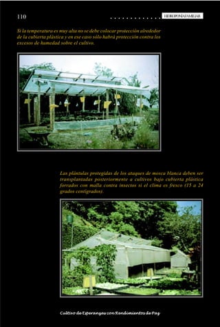 110                                                                                          ○
                                                                                             ○       ○
                                                                                                     ○       ○
                                                                                                             ○       ○
                                                                                                                     ○       ○
                                                                                                                             ○       ○
                                                                                                                                     ○       ○
                                                                                                                                             ○       ○
                                                                                                                                                     ○       ○
                                                                                                                                                             ○       ○
                                                                                                                                                                     ○       ○
                                                                                                                                                                             ○       ○
                                                                                                                                                                                     ○       ○
                                                                                                                                                                                             ○
                                                                                                                                                                                                     HIDROPONÍAFAMILIAR
                                                                                                                                                                                                      HIDROPONÍA FAMILIAR


Si la temperatura es muy alta no se debe colocar protección alrededor
de la cubierta plástica y en ese caso sólo habrá protección contra los
excesos de humedad sobre el cultivo.




                                            Las plántulas protegidas de los ataques de mosca blanca deben ser
                                            transplantadas posteriormente a cultivos bajo cubierta plástica
                                            forrados con malla contra insectos si el clima es fresco (15 a 24
                                            grados centígrados).




○   ○   ○   ○   ○   ○   ○   ○   ○   ○   ○    ○   ○   ○   ○   ○   ○   ○   ○   ○   ○   ○   ○       ○       ○       ○       ○       ○       ○       ○       ○       ○       ○       ○       ○       ○    ○   ○   ○   ○   ○   ○   ○   ○   ○   ○


                                        Cultivo de Esperanzas con Rendimientos de Paz
 