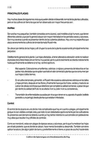 118                                                                                         ○       ○       ○       ○       ○       ○       ○       ○       ○       ○       ○       ○       ○
                                                                                                                                                                                                    HIDROPONÍA FAMILIAR



PRINCIPALES PLAGAS:

Hay muchas clases de organismos vivos que pueden afectar el desarrollo normal de las plantas cultivadas,
pero en los cultivos sin tierra los que se han observado con mayor frecuencia son:

Arañitas:
Arañitas:

Son arañas muy pequeñas ( también conocidas como ácaros), casi invisibles al ojo humano, que tienen
diferentes colores y que por lo general atacan con mayor intensidad en los períodos secos y calurosos.
Son muy severas cuando se presentan dentro de las cubiertas plásticas. Hay una muy específica que
ataca severamente los cultivos de tomate llamada Russit mite.

Se ubican por detrás de las hojas y allí chupan la savia de la planta ocasionando principalmente tres
perjuicios:

Debilitamiento general de la planta: Las hojas afectadas, al tener alterada la coloración verde no realizan
el proceso de la fotosíntesis sino en forma muy parcial, por lo cual el crecimiento se retarda notoriamente
hasta que finalmente se detiene si no hay control oportuno.

-               Mal aspecto: Coloraciones amarillentas, cobrizas o rojizas y presencia de telarañas en las
                partes más afectadas que le quitan casi todo el valor comercial a plantas que se consumen por
                sus hojas o tallos tiernos.

-               En el cultivo de tomate y pimentón, el Russit mite ocasiona coloraciones cobrizas en los tallos
                y hojas primero, después en las flores y finalmente hace que los frutos, verdes y maduros se
                cubran de células corchosas que deterioran por completo la calidad comercial, a pesar de que
                por dentro la calidad del fruto no se afecta ni en su color ni en su consistencia.

-               Transmisión de enfermedades causadas por virus que vienen en su aparato chupador (estilete
                parecido a una jeringa) desde plantas que estaban infectadas.

Control:
Control:

El control de los ácaros es uno de los más complicados que hay en cuanto a plagas, principalmente
porque no son visibles a simple vista y por ésto no son detectados oportunamente por los cultivadores
Su presencia casi siempre se detecta cuando ya hay daños notorios lo cual coincide con poblaciones
muy altas que resultan muy difíciles de controlar.

Como se mencionó, estas son plagas de épocas secas y calurosas, por lo que humedecer las hojas
por el lado posterior, que es donde se ubican, hace menos favorable su desarrollo. También conviene
aplicar lavadura (de algún jabón de barra y preferiblemente si tiene un poco de azufre) haciéndolo
○   ○   ○   ○   ○   ○   ○   ○   ○   ○   ○   ○   ○   ○   ○   ○   ○   ○   ○   ○   ○   ○   ○       ○       ○       ○       ○       ○       ○       ○       ○       ○       ○       ○       ○       ○    ○   ○   ○   ○   ○   ○   ○   ○   ○   ○


                                        Cultivo de Esperanzas con Rendimientos de Paz
 