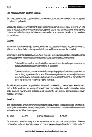 120                                                                                          ○       ○       ○       ○       ○       ○       ○       ○       ○       ○       ○       ○       ○
                                                                                                                                                                                                     HIDROPONÍA FAMILIAR



Los moluscos causan dos tipos de daño:

El primero, es consumiendo parte de las hojas (lechugas, coles, repollos, acelgas) o los frutos (fresa
o frutilla principalmente).

El segundo, es dejando un hilo brillante sobre estas mismas partes aunque no las consuma. En este
caso, el producto, a pesar de no presentar daños pierde todo su valor comercial, pues el mal aspecto
que dan las huellas dejadas por las babosas o los caracoles hace que sea rechazado por los potenciales
consumidores.

Control:

Tal como se ha indicado, la mejor manera de evitar los ataques severos de esta plaga es manteniendo
el área circundante de los cultivos y el substrato mismo, libres de excesos de humedad.

Sin embargo, si en las épocas lluviosas, fuera imposible conseguir esta condición, las poblaciones
de éstos se pueden reducir drásticamente atendiendo las siguientes recomendaciones:

-               Retirar del área de cultivo todos los ladrillos, piedras o trozos de madera grandes donde las
                babosas o caracoles pudieran protegerse al salir el sol,

-               Colocar al atardecer, un saco usado de fibra vegetal o papel periódico humedecido con una
                mezcla de agua y residuos de cerveza. A la mañana siguiente (muy temprano) se levanta el
                saco o el diario y se eliminan los moluscos que hayan llegado durante la noche atraídos
                por el olor a levadura de cerveza y por la humedad.

También es posible poner trampas hechas con aserrín humedecido con cerveza y un poco de miel o
azúcar. Esta mezcla se ubica en pequeños montones en varios sitios de la huerta que se deben revisar
al día siguiente muy temprano (antes de que el sol caliente) para eliminar los moluscos que hayan
llegado a la trampa.

Insectos:

Son organismos de tamaño generalmente mediano o pequeño que se caracterizan por tener seis (6)
patas y el cuerpo dividido en tres partes (cabeza, tórax y abdomen). Su ciclo de vida se cumple en
varias etapas bien diferenciadas que son:

1. Huevo                            2. Larva                            3. Pupa o Crisálida y                                                                4. Adulto

De estos estados los más peligrosos son los de larva que es cuando se alimentan de las diferentes
partes de las plantas y el de adulto que es cuando se reproducen abundantemente por toda la plantación
○   ○   ○   ○   ○   ○   ○   ○   ○   ○   ○   ○   ○   ○   ○   ○   ○   ○    ○   ○   ○   ○   ○       ○       ○       ○       ○       ○       ○       ○       ○       ○       ○       ○       ○       ○    ○   ○   ○   ○   ○   ○   ○   ○   ○   ○


                                        Cultivo de Esperanzas con Rendimientos de Paz
 