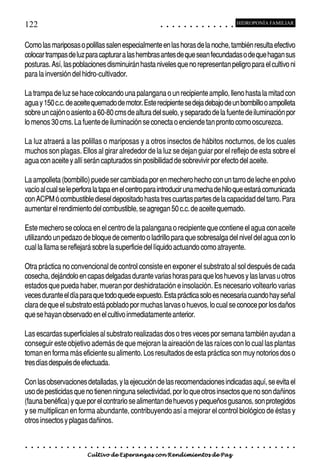 122                                                                                         ○       ○       ○       ○       ○       ○       ○       ○       ○       ○       ○       ○       ○
                                                                                                                                                                                                    HIDROPONÍA FAMILIAR



Como las mariposas o polillas salen especialmente en las horas de la noche, también resulta efectivo
colocar trampas de luz para capturar a las hembras antes de que sean fecundadas o de que hagan sus
posturas. Así, las poblaciones disminuirán hasta niveles que no representan peligro para el cultivo ni
para la inversión del hidro-cultivador.

La trampa de luz se hace colocando una palangana o un recipiente amplio, lleno hasta la mitad con
agua y 150 c.c. de aceite quemado de motor. Este recipiente se deja debajo de un bombillo o ampolleta
sobre un cajón o asiento a 60-80 cms de altura del suelo, y separado de la fuente de iluminación por
lo menos 30 cms. La fuente de iluminación se conecta o enciende tan pronto como oscurezca.

La luz atraerá a las polillas o mariposas y a otros insectos de hábitos nocturnos, de los cuales
muchos son plagas. Ellos al girar alrededor de la luz se dejan guiar por el reflejo de esta sobre el
agua con aceite y allí serán capturados sin posibilidad de sobrevivir por efecto del aceite.

La ampolleta (bombillo) puede ser cambiada por en mechero hecho con un tarro de leche en polvo
vacío al cual se le perfora la tapa en el centro para introducir una mecha de hilo que estará comunicada
con ACPM ó combustible diesel depositado hasta tres cuartas partes de la capacidad del tarro. Para
aumentar el rendimiento del combustible, se agregan 50 c.c. de aceite quemado.

Este mechero se coloca en el centro de la palangana o recipiente que contiene el agua con aceite
utilizando un pedazo de bloque de cemento o ladrillo para que sobresalga del nivel del agua con lo
cual la llama se reflejará sobre la superficie del líquido actuando como atrayente.

Otra práctica no convencional de control consiste en exponer el substrato al sol después de cada
cosecha, dejándolo en capas delgadas durante varias horas para que los huevos y las larvas u otros
estados que pueda haber, mueran por deshidratación e insolación. Es necesario voltearlo varias
veces durante el día para que todo quede expuesto. Esta práctica solo es necesaria cuando hay señal
clara de que el substrato está poblado por muchas larvas o huevos, lo cual se conoce por los daños
que se hayan observado en el cultivo inmediatamente anterior.

Las escardas superficiales al substrato realizadas dos o tres veces por semana también ayudan a
conseguir este objetivo además de que mejoran la aireación de las raíces con lo cual las plantas
toman en forma más eficiente su alimento. Los resultados de esta práctica son muy notorios dos o
tres días después de efectuada.

Con las observaciones detalladas, y la ejecución de las recomendaciones indicadas aquí, se evita el
uso de pesticidas que no tienen ninguna selectividad, por lo que otros insectos que no son dañinos
(fauna benéfica) y que por el contrario se alimentan de huevos y pequeños gusanos, son protegidos
y se multiplican en forma abundante, contribuyendo así a mejorar el control biológico de éstas y
otros insectos y plagas dañinos.


○   ○   ○   ○   ○   ○   ○   ○   ○   ○   ○   ○   ○   ○   ○   ○   ○   ○   ○   ○   ○   ○   ○       ○       ○       ○       ○       ○       ○       ○       ○       ○       ○       ○       ○       ○    ○   ○   ○   ○   ○   ○   ○   ○   ○   ○


                                        Cultivo de Esperanzas con Rendimientos de Paz
 