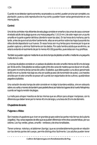 126                                                                                         ○       ○       ○       ○       ○       ○       ○       ○       ○       ○       ○       ○       ○
                                                                                                                                                                                                    HIDROPONÍA FAMILIAR



Cuando no se detectan oportunamente y se procede a su control, pueden arruinar por completo una
plantación, pues su ciclo reproductivo es muy corto y pueden hacer varias generaciones en una
misma planta.

Control:

Uno de los controles más eficientes de esta plaga consiste en enseñar a las amas de casa a conocer
el estado adulto de la plaga que es una mosca pequeña (1,5-2,0 mm.) de color negro con un punto
amarillo en la parte superior del tórax (donde le nacen las alas). En las horas de la mañana y por la
tarde, antes de que el sol alumbre fuertemente, ellas se encuentran sobre las hojas buscando los
sitios donde depositarán sus huevos. En esas horas son muy lentas para moverse por lo que se
pueden capturar y eliminar fácilmente con los dedos. Por cada hembra adulta que se elimina, se
estaría evitando el nacimiento de por lo menos 40 ó 50 gusanitos, pues éstas son muy prolíficas.

También se pueden capturar mediante el uso de la trampa de plástico amarillo o mediante una pequeña
malla de tul o velo.

La trampa de plástico consiste en un pedazo de plástico de color amarillo intenso de 50 cms de largo
por 30 de ancho. Este plástico se coloca sujeto entre dos varas de madera que se clavan en el suelo,
cerca pero no encima de las camas de cultivo. El plástico, que debe quedar a una altura aproximada
de 80 cms en su borde más bajo se unta con aceite grueso (de transmisión de autos). Los insectos
atraídos por el color amarillo se posan allí cuando son espantados de los cultivos, quedándose
pegados al plástico.

Una variación de esta trampa de color consiste en no dejar la bandera estática, sino en colocarla
sobre una varita a manera de banderín para poderla llevar por todos los lugares de la huerta hidropónica
cuando se haga la revisión de plagas.

La malla para atrapar insectos es de las mismas que se utilizan para atrapar mariposas, con la
diferencia que deben tener por lo menos 40 cms de largo y una boca de 20 cms de diámetro.

Chupadores de savia:

Pulgones o Afidos:

Son insectos chupadores que viven en grandes grupos sobre las partes más tiernas de la planta
(cogollos). Hay varias especies de ellos que se pueden diferenciar entre otras características, por sus
colores. Los hay verdes, grises, amarillo - verdosos y de otras tonalidades.

Tienen antenas notorias y el abdomen (barriga ) que es considerablemente grande en relación
con las demás partes del cuerpo, permite distinguirlos fácilmente. Los adultos pueden tener
○   ○   ○   ○   ○   ○   ○   ○   ○   ○   ○   ○   ○   ○   ○   ○   ○   ○   ○   ○   ○   ○   ○       ○       ○       ○       ○       ○       ○       ○       ○       ○       ○       ○       ○       ○    ○   ○   ○   ○   ○   ○   ○   ○   ○   ○


                                        Cultivo de Esperanzas con Rendimientos de Paz
 