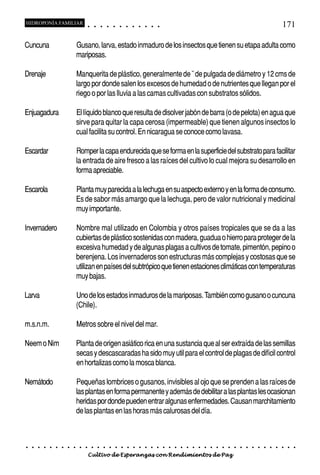 HIDROPONÍA FAMILIAR                          ○       ○       ○       ○       ○       ○       ○   ○   ○   ○   ○   ○                                                                                   171

Cuncuna                             Gusano, larva, estado inmaduro de los insectos que tienen su etapa adulta como
                                    mariposas.

Drenaje                             Manquerita de plástico, generalmente de ˘ de pulgada de diámetro y 12 cms de
                                    largo por donde salen los excesos de humedad o de nutrientes que llegan por el
                                    riego o por las lluvia a las camas cultivadas con substratos sólidos.

Enjuagadura                         El líquido blanco que resulta de disolver jabón de barra (o de pelota) en agua que
                                    sirve para quitar la capa cerosa (impermeable) que tienen algunos insectos lo
                                    cual facilita su control. En nicaragua se conoce como lavasa.

Escardar                            Romper la capa endurecida que se forma en la superficie del substrato para facilitar
                                    la entrada de aire fresco a las raíces del cultivo lo cual mejora su desarrollo en
                                    forma apreciable.

Escarola                            Planta muy parecida a la lechuga en su aspecto externo y en la forma de consumo.
                                    Es de sabor más amargo que la lechuga, pero de valor nutricional y medicinal
                                    muy importante.

Invernadero                         Nombre mal utilizado en Colombia y otros países tropicales que se da a las
                                    cubiertas de plástico sostenidas con madera, guadua o hierro para proteger de la
                                    excesiva humedad y de algunas plagas a cultivos de tomate, pimentón, pepino o
                                    berenjena. Los invernaderos son estructuras más complejas y costosas que se
                                    utilizan en países del subtrópico que tienen estaciones climáticas con temperaturas
                                    muy bajas.

Larva                               Uno de los estados inmaduros de la mariposas. También como gusano o cuncuna
                                    (Chile).

m.s.n.m.                            Metros sobre el nivel del mar.

Neem o Nim                          Planta de origen asiático rica en una sustancia que al ser extraída de las semillas
                                    secas y descascaradas ha sido muy util para el control de plagas de difícil control
                                    en hortalizas como la mosca blanca.

Nemátodo                            Pequeñas lombrices o gusanos, invisibles al ojo que se prenden a las raíces de
                                    las plantas en forma permanente y además de debilitar a las plantas les ocasionan
                                    heridas por donde pueden entrar algunas enfermedades. Causan marchitamiento
                                    de las plantas en las horas más calurosas del día.



○   ○   ○   ○   ○   ○   ○   ○   ○    ○   ○       ○       ○       ○       ○       ○       ○   ○   ○   ○   ○   ○   ○   ○   ○   ○   ○   ○   ○   ○   ○   ○   ○   ○   ○   ○   ○   ○   ○   ○   ○   ○   ○   ○   ○   ○


                                         Cultivo de Esperanzas con Rendimientos de Paz
 