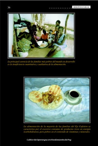 36                                          ○   ○   ○   ○   ○   ○   ○   ○   ○   ○   ○   ○   ○   HIDROPONÍAFAMILIAR




La principal carencia de las familias más pobres del mundo en desarrollo
es la insuficiencia cuantitativa y cualitativa de la alimentación.




                 La alimentación de la mayoría de las familias del Eje Cafetero se
                 caracteriza por el excesivo consumo de productos ricos en energía
                 (carbohidratos), pero pobres en el contenido de vitaminas y minerales.


                    Cultivo de Esperanzas con Rendimientos de Paz
 