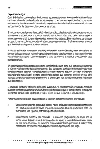 56                                                                                           ○       ○       ○       ○       ○       ○       ○       ○       ○       ○       ○       ○       ○
                                                                                                                                                                                                     HIDROPONÍA FAMILIAR



Reposición de agua:
Cada 2 -3 días hay que completar el volumen de agua que se puso en el contenedor el primer día (un
centímetro abajo del borde del contenedor), porque si no se hace esta reposición, habrá una mayor
concentración de sales y además, la cantidad que queda se calentará más rápidamente, ocasionándose
así disminución del desarrollo o la muerte de las raíces.

El método es muy exigente en la reposición del oxígeno, lo cual se hace agitando vigorosamente una
mano sobre la superficie de la solución hasta formar burbujas. Esta labor debe realizarse por lo
menos tres veces al día durante 15 segundos, como mínimo cada vez. Si no se oxigena, las raíces se
ahogan, toman un color oscuro dejan de absorber agua y nutrientes y finalmente mueren antes de
que el cultivo haya llegado al punto de cosecha.

Al realizar la aireación es necesario levantar y sostener con cuidado (de lado y no en forma plana) las
láminas de icopor, pues un manejo inapropiado permite que se quiebren con lo cual se disminuye su
vida útil (calculada para 10 cosechas) y por lo tanto se aumenta el costo de producción de cada
planta cosechada.

En los climas calientes la pérdida de oxígeno es más rápida, razón por la cual es necesario aumentar
el número y la frecuencia de las oxigenaciones. Esta es la causa por la que muchos cultivadores en
zonas calientes no obtienen buenos resultados al utilizar esta forma de cultivo y deciden abandonarlo
o cambiar a la modalidad de siembra en substratos sólidos que es menos exigente en esta labor
(llamada también aireación) porque conserva el oxígeno por más tiempo dentro de los materiales
que lo componen.

El agua debe cambiarse totalmente después de cada cultivo. No hacerlo conduce a resultados negativos,
pues las plantas nuevas tomarán una nutrición incompleta aunque se complemente con algunos
elementos, porque no es posible saber cuáles fueron los que consumió el cultivo anterior.

Para evitar la multiplicación de zancudos en la solución, se recomiendan dos alternativas:

1.               Conseguir en un centro de salud un poco de Abate, producto recomendado por el Ministerio
                 de Salud que elimina las larvas en aguas estancadas. De este producto se echa una
                 cucharadita bien repartida sobre la superficie del líquido.

2.               Cada dos días, cuando se está haciendo la aireación (oxigenación), se limpia con un
                 pañito untado de jabón, el borde de la superficie del agua y el borde de las láminas de icopor.
                 De esta forma se eliminan los huevos de los zancudos antes de que nazcan. Esta labor debe
                 hacerse con la frecuencia indicada para evitar la multiplicación de esta plaga.




○    ○   ○   ○   ○   ○   ○   ○   ○   ○   ○   ○   ○   ○   ○   ○   ○   ○   ○   ○   ○   ○   ○       ○       ○       ○       ○       ○       ○       ○       ○       ○       ○       ○       ○       ○    ○   ○   ○   ○   ○   ○   ○   ○   ○   ○


                                         Cultivo de Esperanzas con Rendimientos de Paz
 