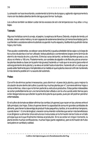 58                                                                                          ○       ○       ○       ○       ○       ○       ○       ○       ○       ○       ○       ○       ○
                                                                                                                                                                                                    HIDROPONÍA FAMILIAR



La aireación se hace levantando y sosteniendo la lámina de durapax y agitando vigorozamente la
mano con los dedos abiertos dentro del agua para formar burbujas.

Los cultivos también se deben cuidar de los excesos de sol o de temperaturas muy altas o muy
bajas.

Tutorado:

Algunas hortalizas como la arveja, el pepino, la espinaca de Nueva Zelanda, el ejote de rienda y el
tomate, crecen varios metros y no son capaces de sostenerse derechas (al menos levantadas) por lo
cual tienden a acostarse sobre el substrato ocupando mucho espacio y facilitando la pudrición de las
hojas y los frutos.

Para ayudar a sostenerlas, se colocan varas de bambú o guadua alrededor de las cajas o a lo largo de
los surcos de plantas si se han utilizado bolsas plásticas o contenedores largos como láminas de
eternit o de mezcla de zinc y aluminio. Entre las varas de bambú se tiende alambre grueso a una
altura no inferior a 180 cms. Posteriormente, con cordeles de algodón o de fibra de yute se amarran
las plantas desde su base (en la parte más gruesa) haciendo un nudo que no se corra (para evitar el
estrangulamiento de la planta) y se eleva el cordel hasta el alambre, haciendo allí un nudo que se
pueda soltar fácilmente para ir templándolo en la medida en que la planta crece con el fin de mantenerla
lo más derecha posible sin ir a sacarla del substrato.

Podas:

Con el fin de eliminar partes innecesarias, para disminuir el peso de la planta y para mejorar la
                                                                       2
circulación de aire dentro del cultivo (cuando hay muchas plantas por m ) conviene eliminar hojas o
ramas enfermas, rotas o que no formen parte de su estructura productiva. Estas partes indeseables
se cortan preferiblemente con una herramienta bien afilada o con la uña cuando están tiernas para
evitar desgarraduras que afecten la parte de la planta que queda, pues por allí podrían penetrar
enfermedades.

En el cultivo de tomate se deben eliminar las ramitas (chupones) que nacen en las uniones entre el
tallo principal y las hojas. Estos chupones tienen la capacidad de consumir grandes cantidades de
alimento, pero tienen la desventaja de producir frutos pequeños y tardíos; si no se eliminan temprano,
cuando tienen 1-2 cms de longitud, crecerán consumiendo nutrientes que serían más beneficiosos
si se dirigieran a alimentar otras estructuras involucradas en la formación de los frutos en el tallo
principal que es lo que finalmente interesa al productor. Si no se cortan en ningún momento, la
planta tendrá muchas ramificaciones, muchas hojas (parte vegetativa), pero la formación de frutos
será pobre en cantidad y calidad.



○   ○   ○   ○   ○   ○   ○   ○   ○   ○   ○   ○   ○   ○   ○   ○   ○   ○   ○   ○   ○   ○   ○       ○       ○       ○       ○       ○       ○       ○       ○       ○       ○       ○       ○       ○    ○   ○   ○   ○   ○   ○   ○   ○   ○   ○


                                        Cultivo de Esperanzas con Rendimientos de Paz
 