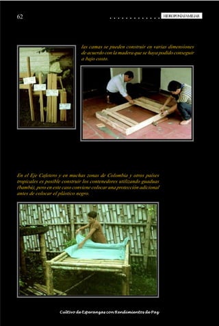 62                                                                                          ○
                                                                                            ○       ○
                                                                                                    ○       ○
                                                                                                            ○       ○
                                                                                                                    ○       ○
                                                                                                                            ○       ○
                                                                                                                                    ○       ○
                                                                                                                                            ○       ○
                                                                                                                                                    ○       ○
                                                                                                                                                            ○       ○
                                                                                                                                                                    ○       ○
                                                                                                                                                                            ○       ○
                                                                                                                                                                                    ○       ○
                                                                                                                                                                                            ○
                                                                                                                                                                                                    HIDROPONÍAFAMILIAR
                                                                                                                                                                                                     HIDROPONÍA FAMILIAR




                                                                las camas se pueden construir en varias dimensiones
                                                                de acuerdo con la madera que se haya podido conseguir
                                                                a bajo costo.




En el Eje Cafetero y en muchas zonas de Colombia y otros países
tropicales es posible construir los contenedores utilizando guaduas
(bambú), pero en este caso conviene colocar una protección adicional
antes de colocar el plástico negro.




○   ○   ○   ○   ○   ○   ○   ○   ○   ○   ○   ○   ○   ○   ○   ○   ○   ○   ○   ○   ○   ○   ○       ○       ○       ○       ○       ○       ○       ○       ○       ○       ○       ○       ○       ○    ○   ○   ○   ○   ○   ○   ○   ○   ○   ○


                                        Cultivo de Esperanzas con Rendimientos de Paz
 