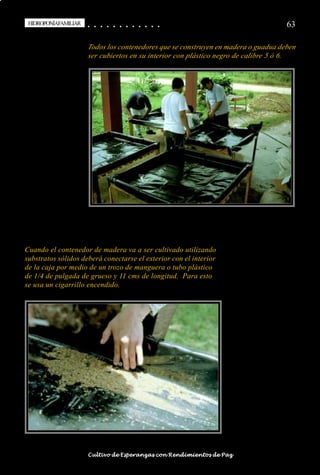 HIDROPONÍAFAMILIAR
 HIDROPONÍA FAMILIAR                        ○
                                            ○       ○
                                                    ○       ○
                                                            ○       ○
                                                                    ○       ○
                                                                            ○       ○
                                                                                    ○       ○
                                                                                            ○   ○
                                                                                                ○   ○
                                                                                                    ○   ○
                                                                                                        ○   ○
                                                                                                            ○   ○
                                                                                                                ○                                                                                       63

                                        Todos los contenedores que se construyen en madera o guadua deben
                                        ser cubiertos en su interior con plástico negro de calibre 5 ó 6.




Cuando el contenedor de madera va a ser cultivado utilizando
substratos sólidos deberá conectarse el exterior con el interior
de la caja por medio de un trozo de manguera o tubo plástico
de 1/4 de pulgada de grueso y 11 cms de longitud. Para esto
se usa un cigarrillo encendido.




○   ○   ○   ○   ○   ○   ○   ○   ○   ○   ○       ○       ○       ○       ○       ○       ○   ○   ○   ○   ○   ○   ○   ○   ○   ○   ○   ○   ○   ○   ○   ○   ○   ○   ○   ○   ○   ○   ○   ○   ○   ○   ○   ○   ○   ○


                                        Cultivo de Esperanzas con Rendimientos de Paz
 