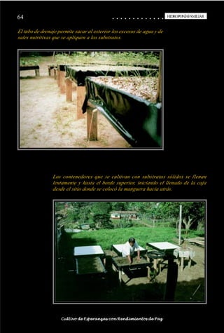 64                                                                                           ○
                                                                                             ○       ○
                                                                                                     ○       ○
                                                                                                             ○       ○
                                                                                                                     ○       ○
                                                                                                                             ○       ○
                                                                                                                                     ○       ○
                                                                                                                                             ○       ○
                                                                                                                                                     ○       ○
                                                                                                                                                             ○       ○
                                                                                                                                                                     ○       ○
                                                                                                                                                                             ○       ○
                                                                                                                                                                                     ○       ○
                                                                                                                                                                                             ○
                                                                                                                                                                                                     HIDROPONÍAFAMILIAR
                                                                                                                                                                                                      HIDROPONÍA FAMILIAR


El tubo de drenaje permite sacar al exterior los excesos de agua y de
sales nutritivas que se apliquen a los substratos.




                                    Los contenedores que se cultivan con substratos sólidos se llenan
                                    lentamente y hasta el borde superior, iniciando el llenado de la caja
                                    desde el sitio donde se colocó la manguera hacia atrás.




○   ○   ○   ○   ○   ○   ○   ○   ○    ○   ○   ○   ○   ○   ○   ○   ○   ○   ○   ○   ○   ○   ○       ○       ○       ○       ○       ○       ○       ○       ○       ○       ○       ○       ○       ○    ○   ○   ○   ○   ○   ○   ○   ○   ○   ○


                                         Cultivo de Esperanzas con Rendimientos de Paz
 