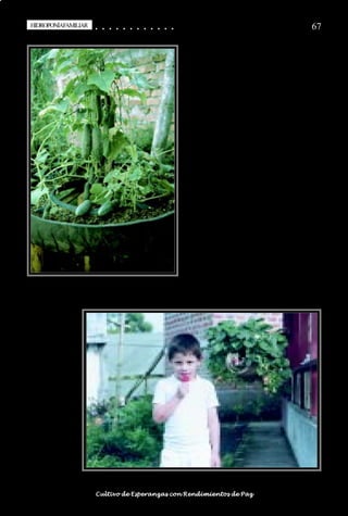 HIDROPONÍAFAMILIAR
 HIDROPONÍA FAMILIAR                        ○
                                            ○       ○
                                                    ○       ○
                                                            ○       ○
                                                                    ○       ○
                                                                            ○       ○
                                                                                    ○       ○
                                                                                            ○   ○
                                                                                                ○   ○
                                                                                                    ○   ○
                                                                                                        ○   ○
                                                                                                            ○   ○
                                                                                                                ○                                                                                       67




○   ○   ○   ○   ○   ○   ○   ○   ○   ○   ○       ○       ○       ○       ○       ○       ○   ○   ○   ○   ○   ○   ○   ○   ○   ○   ○   ○   ○   ○   ○   ○   ○   ○   ○   ○   ○   ○   ○   ○   ○   ○   ○   ○   ○   ○


                                        Cultivo de Esperanzas con Rendimientos de Paz
 