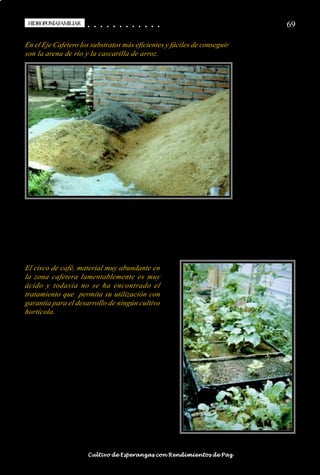 HIDROPONÍAFAMILIAR
 HIDROPONÍA FAMILIAR                        ○
                                            ○       ○
                                                    ○       ○
                                                            ○       ○
                                                                    ○       ○
                                                                            ○       ○
                                                                                    ○       ○
                                                                                            ○   ○
                                                                                                ○   ○
                                                                                                    ○   ○
                                                                                                        ○   ○
                                                                                                            ○   ○
                                                                                                                ○                                                                                       69

En el Eje Cafetero los substratos más eficientes y fáciles de conseguir
son la arena de río y la cascarilla de arroz.




El cisco de café, material muy abundante en
la zona cafetera lamentablemente es muy
ácido y todavía no se ha encontrado el
tratamiento que permita su utilización con
garantía para el desarrollo de ningún cultivo
hortícola.




○   ○   ○   ○   ○   ○   ○   ○   ○   ○   ○       ○       ○       ○       ○       ○       ○   ○   ○   ○   ○   ○   ○   ○   ○   ○   ○   ○   ○   ○   ○   ○   ○   ○   ○   ○   ○   ○   ○   ○   ○   ○   ○   ○   ○   ○


                                        Cultivo de Esperanzas con Rendimientos de Paz
 