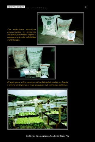 HIDROPONÍAFAMILIAR
 HIDROPONÍA FAMILIAR                        ○
                                            ○       ○
                                                    ○       ○
                                                            ○       ○
                                                                    ○       ○
                                                                            ○       ○
                                                                                    ○       ○
                                                                                            ○   ○
                                                                                                ○   ○
                                                                                                    ○   ○
                                                                                                        ○   ○
                                                                                                            ○   ○
                                                                                                                ○                                                                                       81




Las soluciones nutritivas
concentradas se preparan
utilizando fertilizantes simples o
compuestos de alta solubilidad
y alta pureza.




El agua que se utiliza para los cultivos hidropónicos debe ser limpia
y fresca, sin importar si es de acueducto o de corrientes naturales.




○   ○   ○   ○   ○   ○   ○   ○   ○   ○   ○       ○       ○       ○       ○       ○       ○   ○   ○   ○   ○   ○   ○   ○   ○   ○   ○   ○   ○   ○   ○   ○   ○   ○   ○   ○   ○   ○   ○   ○   ○   ○   ○   ○   ○   ○


                                        Cultivo de Esperanzas con Rendimientos de Paz
 