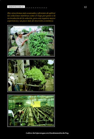 HIDROPONÍAFAMILIAR
 HIDROPONÍA FAMILIAR                        ○
                                            ○       ○
                                                    ○       ○
                                                            ○       ○
                                                                    ○       ○
                                                                            ○       ○
                                                                                    ○       ○
                                                                                            ○   ○
                                                                                                ○   ○
                                                                                                    ○   ○
                                                                                                        ○   ○
                                                                                                            ○   ○
                                                                                                                ○                                                                                       83

Hay otras formas más avanzadas y eficientes de aplicar
las soluciones nutritivas como el riego por goteo o la
recirculación de la solución, pero esta requiere mayor
experiencia y un poco más de inversión económica.




○   ○   ○   ○   ○   ○   ○   ○   ○   ○   ○       ○       ○       ○       ○       ○       ○   ○   ○   ○   ○   ○   ○   ○   ○   ○   ○   ○   ○   ○   ○   ○   ○   ○   ○   ○   ○   ○   ○   ○   ○   ○   ○   ○   ○   ○


                                        Cultivo de Esperanzas con Rendimientos de Paz
 
