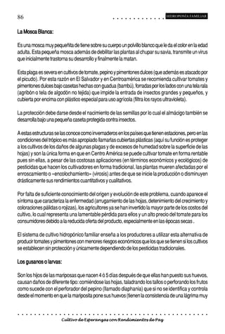 86                                                                                          ○       ○       ○       ○       ○       ○       ○       ○       ○       ○       ○       ○       ○
                                                                                                                                                                                                    HIDROPONÍA FAMILIAR



La Mosca Blanca:

Es una mosca muy pequeñita de tiene sobre su cuerpo un polvillo blanco que le da el color en la edad
adulta. Esta pequeña mosca además de debilitar las plantas al chupar su savia, transmite un virus
que inicialmente trastorna su desarrollo y finalmente la matan.

Esta plaga es severa en cultivos de tomate, pepino y pimentones dulces (que además es atacado por
el picudo). Por esta razón en El Salvador y en Centroamérica se recomienda cultivar tomates y
pimentones dulces bajo casetas hechas con guadua (bambú), forradas por los lados con una tela rala
(agribón o tela de algodón no tejida) que impide la entrada de insectos grandes y pequeños, y
cubierta por encima con plástico especial para uso agrícola (filtra los rayos ultravioleta).

La protección debe darse desde el nacimiento de las semillas por lo cual el almácigo también se
desarrolla bajo una pequeña caseta protegida contra insectos.

A estas estructuras se las conoce como invernaderos en los países que tienen estaciones, pero en las
condiciones del trópico es más apropiado llamarlas cubiertas plásticas (aquí su función es proteger
a los cultivos de los daños de algunas plagas y de excesos de humedad sobre la superficie de las
hojas) y son la única forma en que en Centro América se puede cultivar tomate en forma rentable
pues sin ellas, a pesar de las costosas aplicaciones (en términos económicos y ecológicos) de
pesticidas que hacen los cultivadores en forma tradicional, las plantas mueren afectadas por el
enroscamiento o «encolochamiento» (virosis) antes de que se inicie la producción o disminuyen
drásticamente sus rendimientos cuantitativos y cualitativos.

Por falta de suficiente conocimiento del origen y evolución de este problema, cuando aparece el
síntoma que caracteriza la enfermedad (arrugamiento de las hojas, detenimiento del crecimiento y
coloraciones pálidas o rojizas), los agricultores ya se han invertido la mayor parte de los costos del
cultivo, lo cual representa una lamentable pérdida para ellos y un alto precio del tomate para los
consumidores debido a la reducida oferta del producto, especialmente en las épocas secas .

El sistema de cultivo hidropónico familiar enseña a los productores a utilizar esta alternativa de
producir tomates y pimentones con menores riesgos económicos que los que se tienen si los cultivos
se establecen sin protección y únicamente dependiendo de los pesticidas tradicionales.

Los gusanos o larvas:

Son los hijos de las mariposas que nacen 4 ó 5 días después de que ellas han puesto sus huevos,
causan daños de diferente tipo: comiéndose las hojas, taladrando los tallos o perforando los frutos
como sucede con el perforador del pepino (llamado diaphania) que si no se identifica y controla
desde el momento en que la mariposita pone sus huevos (tienen la consistencia de una lágrima muy


○   ○   ○   ○   ○   ○   ○   ○   ○   ○   ○   ○   ○   ○   ○   ○   ○   ○   ○   ○   ○   ○   ○       ○       ○       ○       ○       ○       ○       ○       ○       ○       ○       ○       ○       ○    ○   ○   ○   ○   ○   ○   ○   ○   ○   ○


                                        Cultivo de Esperanzas con Rendimientos de Paz
 