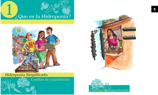 ¿Que es la Hidroponía?
Cartillas de capacitación
1
Hidroponía Simplificada
Cartillas de capacitación
1
 