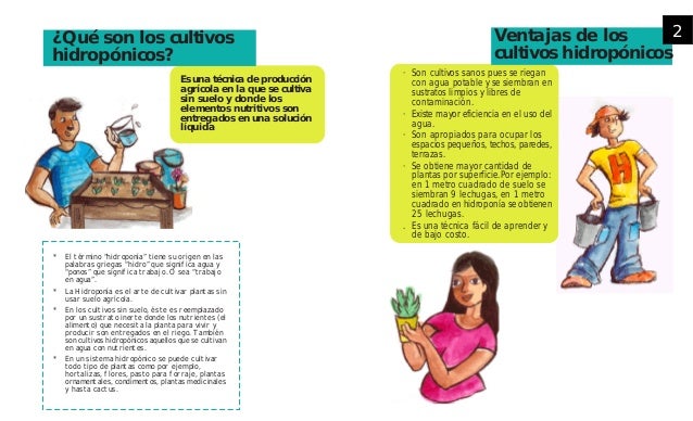 Conoce Los Tipos De Sustratos Para Tu Cultivo Hidropnico