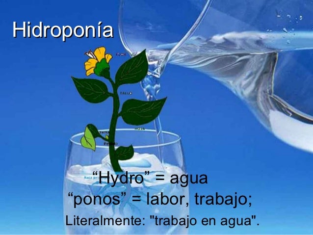 Resultado de imagen para hidroponia