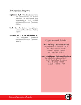 Sistema de Agronegocios de Traspatio
Bibliografíadeapoyo
Espinoza R., P.
Resh M., H.
Sánchez del C. F. y E. Escalante R.
1985.
Universidad
Autónoma Chapingo. Chapingo,
México.
Ediciones Mundi-Prensa. Madrid,
España.
1989. Universidad
Autónoma Chapingo. Chapingo,
México.
Estudio valorativo
del establecimiento de huertos
familiares en hidroponia bajo
invernadero.
Cultivos hidropónicos.
Hidroponia.
Responsables de la ficha:
M.C. Policarpo Espinosa Robles
Ing. Luis Manuel Espinosa Mendoza
Departamento de Fitotecnia, UACh
Carr. México-Texcoco km 38.5
56230 Chapingo, México
Tel. y fax ( 595) 4 09 57
Cerrada Emiliano Zapata No. 21
56200 Tocuila, Edo. de México
Tel.: 01 (595) 4 94 09
Tel. (5) 2 64 58 05 y 2 64
 