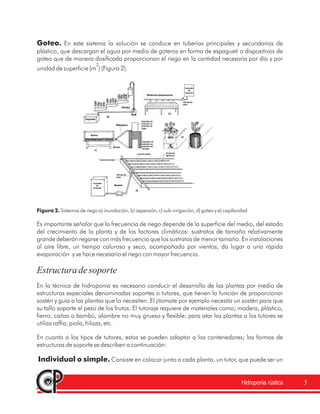 5
Goteo.
Individual o simple.
En este sistema la solución se conduce en tuberías principales y secundarias de
plástico, que descargan el agua por medio de goteros en forma de espagueti o dispositivos de
goteo que de manera dosificada proporcionan el riego en la cantidad necesaria por día y por
unidad de superficie (m ) (Figura 2).
Es importante señalar que la frecuencia de riego depende de la superficie del medio, del estado
del crecimiento de la planta y de los factores climáticos: sustratos de tamaño relativamente
grande deberán regarse con más frecuencia que los sustratos de menor tamaño. En instalaciones
al aire libre, un tiempo caluroso y seco, acompañado por vientos, da lugar a una rápida
evaporación y se hace necesario el riego con mayor frecuencia.
En la técnica de hidroponia es necesario conducir el desarrollo de las plantas por medio de
estructuras especiales denominadas soportes o tutores, que tienen la función de proporcionar
sostén y guía a las plantas que lo necesiten. El jitomate por ejemplo necesita un sostén para que
su tallo soporte el peso de los frutos. El tutoraje requiere de materiales como; madera, plástico,
fierro, cañas o bambú, alambre no muy grueso y flexible; para atar las plantas a los tutores se
utiliza raffia, piola, hilaza, etc.
En cuanto a los tipos de tutores, estos se pueden adaptar a los contenedores; las formas de
estructuras de soporte se describen a continuación:
Consiste en colocar junto a cada planta, un tutor, que puede ser un
2
Figura 2. Sistemas de riego a) inundación, b) aspersión, c) sub-irrigación, d) goteo y e) capilaridad
Estructuradesoporte
Hidroponia rústica
 