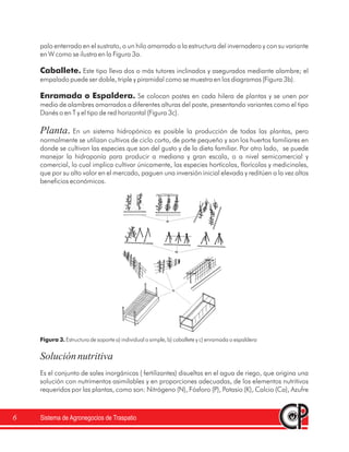 Sistema de Agronegocios de Traspatio6
palo enterrado en el sustrato, o un hilo amarrado a la estructura del invernadero y con su variante
en W como se ilustra en la Figura 3a.
Este tipo lleva dos o más tutores inclinados y asegurados mediante alambre; el
empalado puede ser doble, triple y piramidal como se muestra en los diagramas (Figura 3b).
Se colocan postes en cada hilera de plantas y se unen por
medio de alambres amarrados a diferentes alturas del poste, presentando variantes como el tipo
Danés o en T y el tipo de red horizontal (Figura 3c).
En un sistema hidropónico es posible la producción de todas las plantas, pero
normalmente se utilizan cultivos de ciclo corto, de porte pequeño y son los huertos familiares en
donde se cultivan las especies que son del gusto y de la dieta familiar. Por otro lado, se puede
manejar la hidroponía para producir a mediana y gran escala, o a nivel semicomercial y
comercial, lo cual implica cultivar únicamente, las especies hortícolas, florícolas y medicinales,
que por su alto valor en el mercado, paguen una inversión inicial elevada y reditúen a la vez altos
beneficios económicos.
Es el conjunto de sales inorgánicas ( fertilizantes) disueltas en el agua de riego, que origina una
solución con nutrimentos asimilables y en proporciones adecuadas, de los elementos nutritivos
requeridos por las plantas, como son: Nitrógeno (N), Fósforo (P), Potasio (K), Calcio (Ca), Azufre
Caballete.
Enramada o Espaldera.
Planta
Soluciónnutritiva
.
Figura 3. Estructura de soporte a) individual o simple, b) caballete y c) enramada o espaldera
 