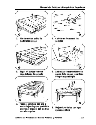 Manual de Cultivos Hidropónicos Populares




   Ž                                                             
 3. Marcar con un palito de           4. Colocar en los surcos las
    madera los surcos                    semillas




                                                                ‘
 5. Tapar los surcos con una          6. Apelmazar suavemente con la
    capa delgada de sustrato             palma de la mano y regar todo
                                         con poca agua limpia




   ’
 7. Tapar el semillero con una o                                 “
    varias hojas de papel periódico
                                      8. Mojar el periódico con agua
    y sostener el papel con piedras
                                         dos veces al día
    en cada esquina

Instituto de Nutrición de Centro América y Panamá                      23
 