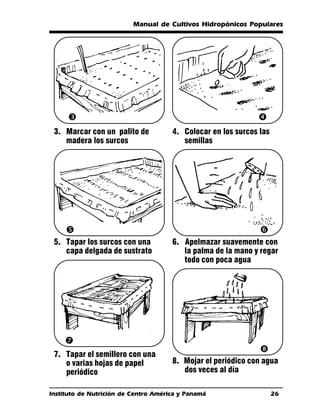 Manual de Cultivos Hidropónicos Populares




     Ž                                                        
 3. Marcar con un palito de           4. Colocar en los surcos las
    madera los surcos                    semillas




                                                              ‘
 5. Tapar los surcos con una          6. Apelmazar suavemente con
    capa delgada de sustrato             la palma de la mano y regar
                                         todo con poca agua




    ’
 7. Tapar el semillero con una
                                                               “
    o varias hojas de papel           8. Mojar el periódico con agua
    periódico                            dos veces al día

Instituto de Nutrición de Centro América y Panamá                    26
 
