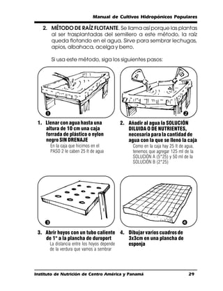 Manual de Cultivos Hidropónicos Populares

   2. MÉTODO DE RAÍZ FLOTANTE. Se llama así porque las plantas
      al ser trasplantadas del semillero a este método, la raíz
      queda flotando en el agua. Sirve para sembrar lechugas,
      apios, albahaca, acelga y berro.

        Si usa este método, siga los siguientes pasos:




    Œ                                                                      
 1. Llenar con agua hasta una              2. Añadir al agua la SOLUCIÓN
    altura de 10 cm una caja                  DILUIDA O DE NUTRIENTES,
    forrada de plástico o nylon               necesaria para la cantidad de
    negro SIN DRENAJE                         agua con la que se llenó la caja
       En la caja que hicimos en el             Como en la caja hay 25 lt de agua,
       PASO 2 le caben 25 lt de agua            tenemos que agregar 125 ml de la
                                                SOLUCIÓN A (5*25) y 50 ml de la
                                                SOLUCIÓN B (2*25)




    Ž                                                                      
 3. Abrir hoyos con un tubo caliente 4. Dibujar varios cuadros de
    de 1" a la plancha de duroport         3x3cm en una plancha de
      La distancia entre los hoyos depende esponja
       de la verdura que vamos a sembrar




Instituto de Nutrición de Centro América y Panamá                              29
 