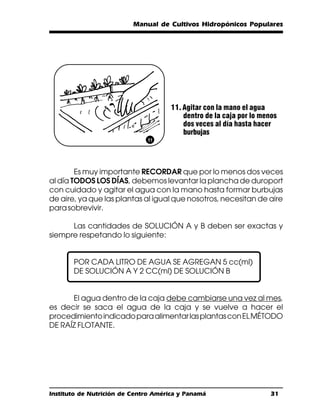 Manual de Cultivos Hidropónicos Populares




                                      11. Agitar con la mano el agua
                                          dentro de la caja por lo menos
                                          dos veces al día hasta hacer
                                          burbujas




        Es muy importante RECORDAR que por lo menos dos veces
al día TODOS LOS DÍAS, debemos levantar la plancha de duroport
con cuidado y agitar el agua con la mano hasta formar burbujas
de aire, ya que las plantas al igual que nosotros, necesitan de aire
para sobrevivir.

      Las cantidades de SOLUCIÓN A y B deben ser exactas y
siempre respetando lo siguiente:


       POR CADA LITRO DE AGUA SE AGREGAN 5 cc(ml)
       DE SOLUCIÓN A Y 2 CC(ml) DE SOLUCIÓN B


      El agua dentro de la caja debe cambiarse una vez al mes,
es decir se saca el agua de la caja y se vuelve a hacer el
procedimiento indicado para alimentar las plantas con EL MÉTODO
DE RAÍZ FLOTANTE.




Instituto de Nutrición de Centro América y Panamá                     31
 