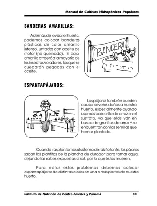 Manual de Cultivos Hidropónicos Populares



BANDERAS AMARILLAS:
     Además de revisar el huerto,
podemos colocar banderas
plásticas de color amarillo
intenso, untadas con aceite de
motor (no quemado). El color
amarillo atraerá a la mayoría de
los insectos voladores, los que se
quedarán pegados con el
aceite.


ESPANTAPÁJAROS:


                                         Los pájaros también pueden
                                     causar severos daños a nuestro
                                     huerto, especialmente cuando
                                     usamos cascarilla de arroz en el
                                     sustrato, ya que ellos van en
                                     busca de granitos de arroz y se
                                     encuentran con las semillas que
                                     hemos plantado.



      Cuando trasplantamos al sistema de raíz flotante, los pájaros
sacan las plantitas de la plancha de duroport para tomar agua,
dejando las raíces expuestas al sol, por lo que éstas mueren.

       Para evitar estos problemas debemos colocar
espantapájaros de distintas clases en una o más partes de nuestro
huerto.



Instituto de Nutrición de Centro América y Panamá                 33
 