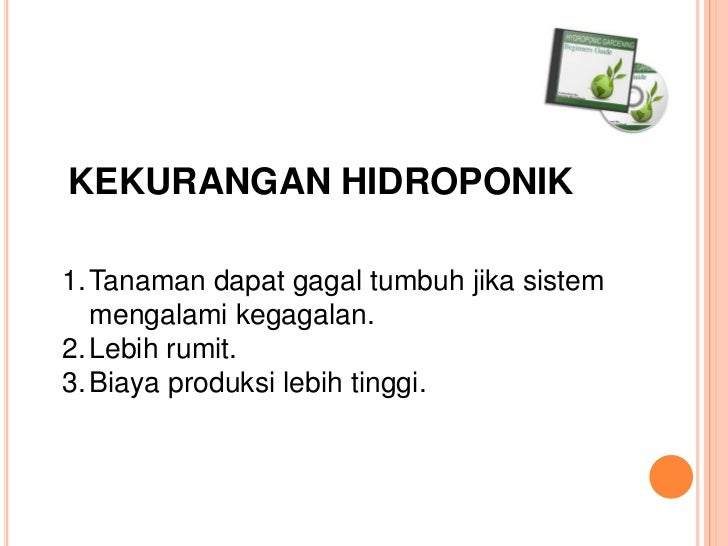 Hidroponik , solusi pertanian di perkotaan