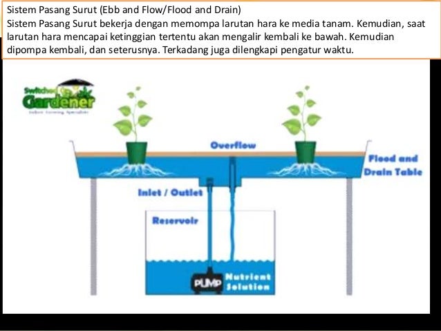 Penanaman iCarai iHidroponiki dan Aeroponik Penanaman iCarai iHidroponiki dan Aeroponik