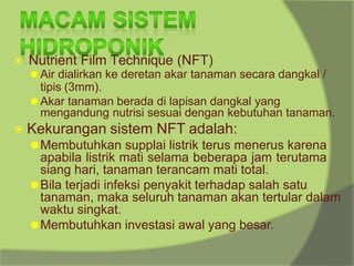 ⦿ Nutrient Film Technique (NFT)
⚫ Air dialirkan ke deretan akar tanaman secara dangkal /
tipis (3mm).
⚫ Akar tanaman berada di lapisan dangkal yang
mengandung nutrisi sesuai dengan kebutuhan tanaman.
⦿ Kekurangan sistem NFT adalah:
⚫Membutuhkan supplai listrik terus menerus karena
apabila listrik mati selama beberapa jam terutama
siang hari, tanaman terancam mati total.
⚫Bila terjadi infeksi penyakit terhadap salah satu
tanaman, maka seluruh tanaman akan tertular dalam
waktu singkat.
⚫Membutuhkan investasi awal yang besar.
 