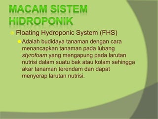 ⦿ Floating Hydroponic System (FHS)
⚫Adalah budidaya tanaman dengan cara
menancapkan tanaman pada lubang
styrofoam yang mengapung pada larutan
nutrisi dalam suatu bak atau kolam sehingga
akar tanaman terendam dan dapat
menyerap larutan nutrisi.
 