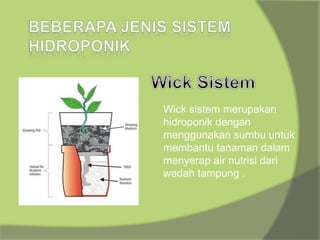 Wick sistem merupakan
hidroponik dengan
menggunakan sumbu untuk
membantu tanaman dalam
menyerap air nutrisi dari
wadah tampung .
 