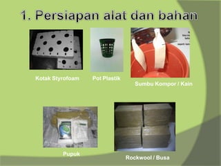 Kotak Styrofoam Pot Plastik
Sumbu Kompor / Kain
Pupuk
Rockwool / Busa
 