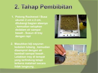1. Potong Rockwool / Busa
ukuran 2 cm x 2 cm,
dilubangi bagian atasnya
, kemudian selupkan
dedalam air sampai
basah . Susun di tray
dengan rapi
2. Masukkan biji sayuran
kedalam lubang , kemudian
disemprot dengan air
kembali sampai basah .
Letakkan tray di tempat
yang terlindung tetapi
terkena matahari secara
tidak langsung .
 