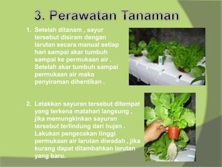 1. Setelah ditanam , sayur
tersebut disiram dengan
larutan secara manual setiap
hari sampai akar tumbuh
sampai ke permukaan air .
Setelah akar tumbuh sampai
permukaan air maka
penyiraman dihentikan .
2. Letakkan sayuran tersebut ditempat
yang terkena matahari langsung ,
jika memungkinkan sayuran
tersebut terlindung dari hujan .
Lakukan pengecekan tinggi
permukaan air larutan diwadah , jika
kurang dapat ditambahkan larutan
yang baru.
 