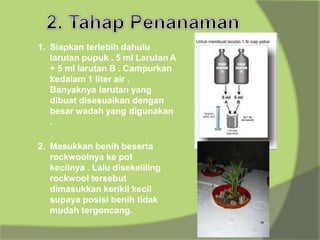 1. Siapkan terlebih dahulu
larutan pupuk . 5 ml Larutan A
+ 5 ml larutan B . Campurkan
kedalam 1 liter air .
Banyaknya larutan yang
dibuat disesuaikan dengan
besar wadah yang digunakan
.
2. Masukkan benih beserta
rockwoolnya ke pot
kecilnya . Lalu disekeliling
rockwool tersebut
dimasukkan kerikil kecil
supaya posisi benih tidak
mudah tergoncang.
 