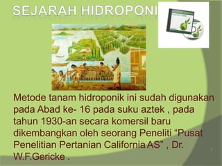 5
Metode tanam hidroponik ini sudah digunakan
pada Abad ke- 16 pada suku aztek , pada
tahun 1930-an secara komersil baru
dikembangkan oleh seorang Peneliti “Pusat
Penelitian Pertanian CaliforniaAS” , Dr.
W.F.Gericke .
 