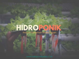 www.hidroponikpedia.com
 