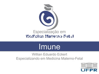 Hidropsia Fetal Não
Imune
Willian Eduardo Eckert
Especializando em Medicina Materno-Fetal
 