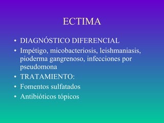 ECTIMA DIAGNÓSTICO DIFERENCIAL Impétigo, micobacteriosis, leishmaniasis, pioderma gangrenoso, infecciones por pseudomona TRATAMIENTO: Fomentos sulfatados Antibióticos tópicos 