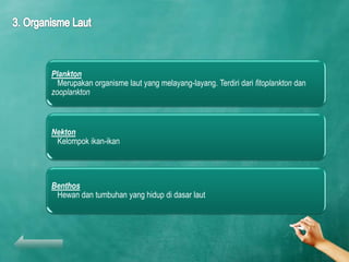 Plankton
  Merupakan organisme laut yang melayang-layang. Terdiri dari fitoplankton dan
zooplankton



Nekton
 Kelompok ikan-ikan




Benthos
 Hewan dan tumbuhan yang hidup di dasar laut
 